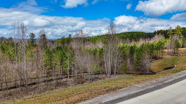 0 Birds Eye Way , Lot 1065, Guild, TN 37340