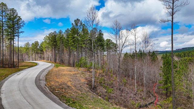 0 Birds Eye Way , Lot 1065, Guild, TN 37340
