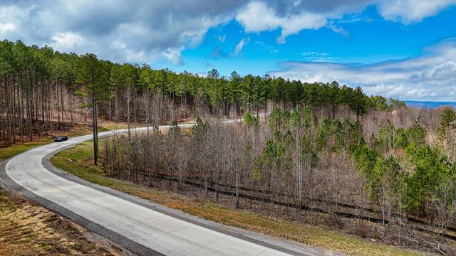0 Birds Eye Way , Lot 1065, Guild, TN 37340