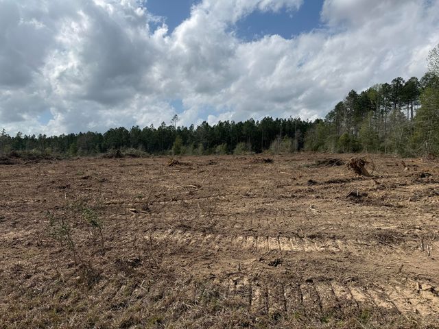 Wesley Coleman TBD, Longville, LA 70652