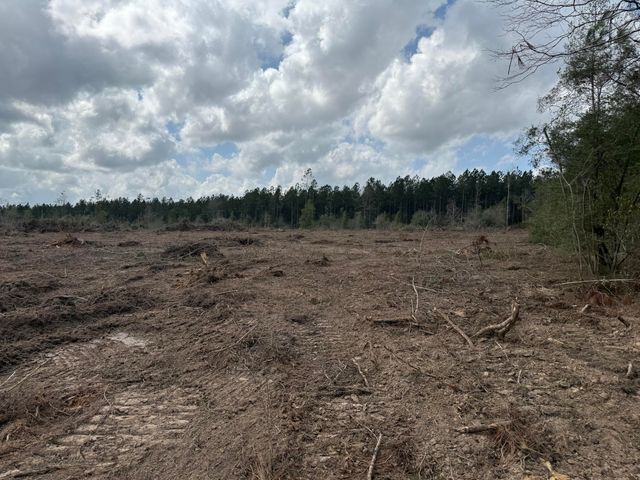 Wesley Coleman TBD, Longville, LA 70652