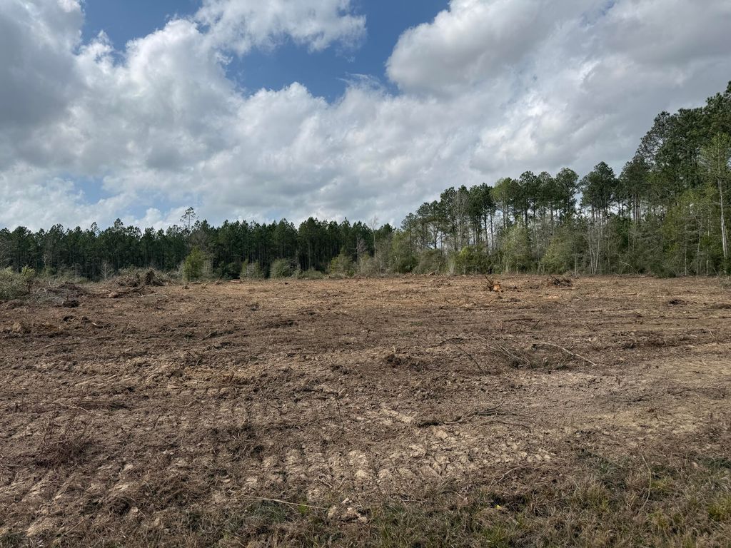 Wesley Coleman TBD, Longville, LA 70652