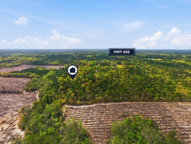 7953 Crawford Road, Laurel Hill, FL 32567