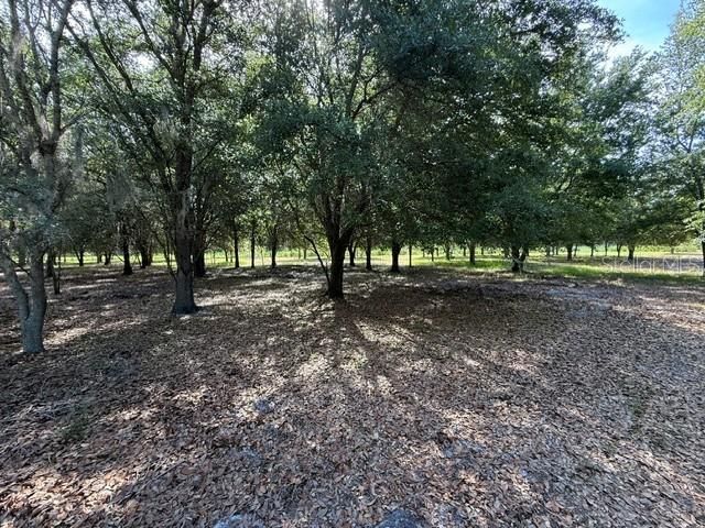 7214 OIL WELL ROAD, Clermont, FL 34714