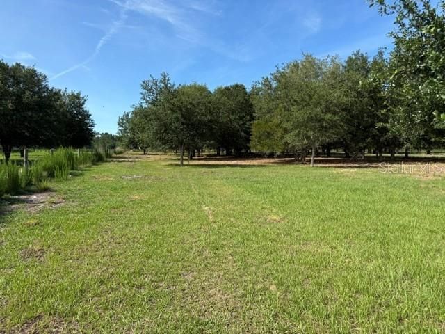 7214 OIL WELL ROAD, Clermont, FL 34714