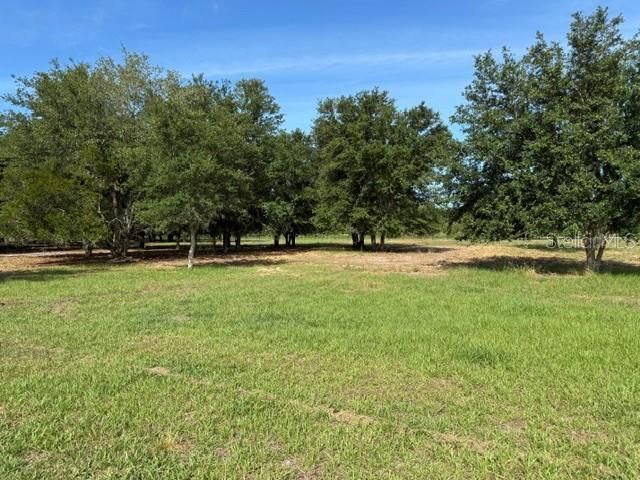 7214 OIL WELL ROAD, Clermont, FL 34714