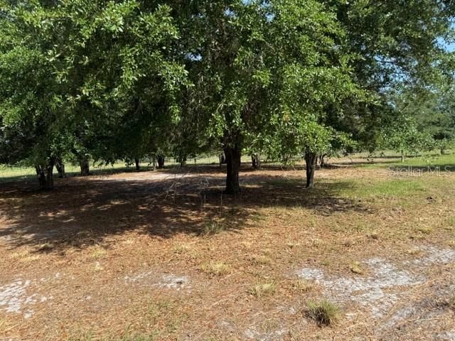 7214 OIL WELL ROAD, Clermont, FL 34714