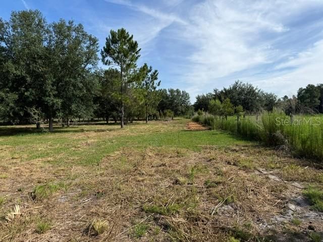 7214 OIL WELL ROAD, Clermont, FL 34714