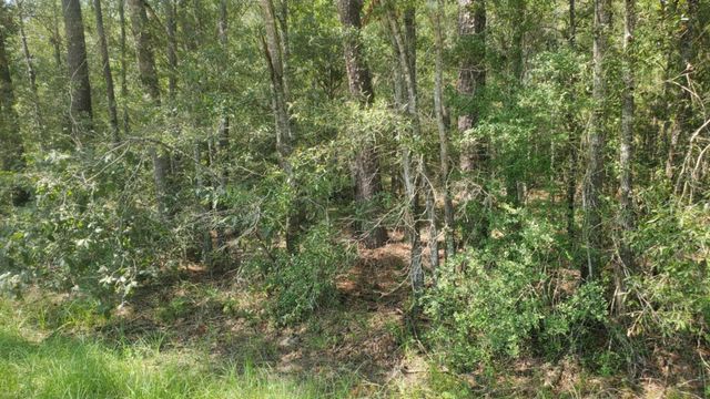 TBD County Road 6383, Dayton, TX 77535