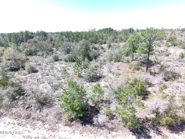 LOT 4 Webster Avenue, Chipley, FL 32428
