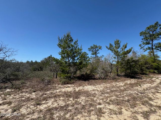LOT 4 Webster Avenue, Chipley, FL 32428