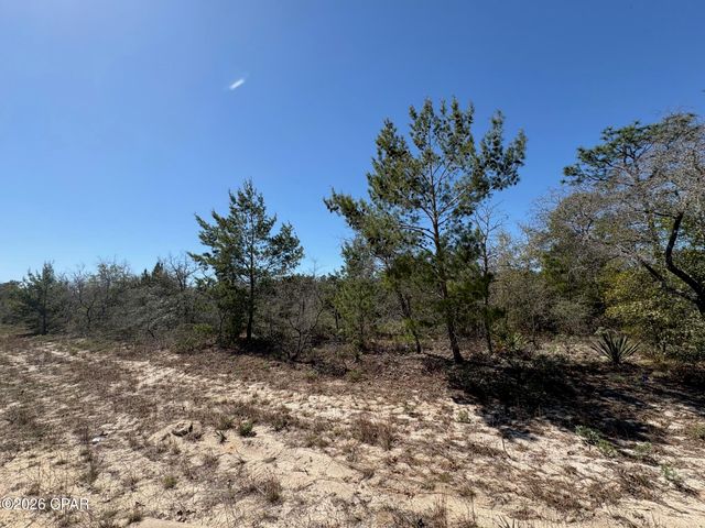 LOT 4 Webster Avenue, Chipley, FL 32428