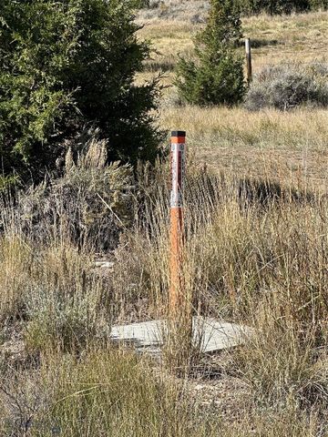 33-to be confirmed Deerfoot, Ennis, MT 59729