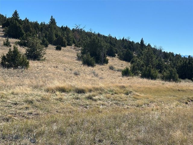 33-to be confirmed Deerfoot, Ennis, MT 59729