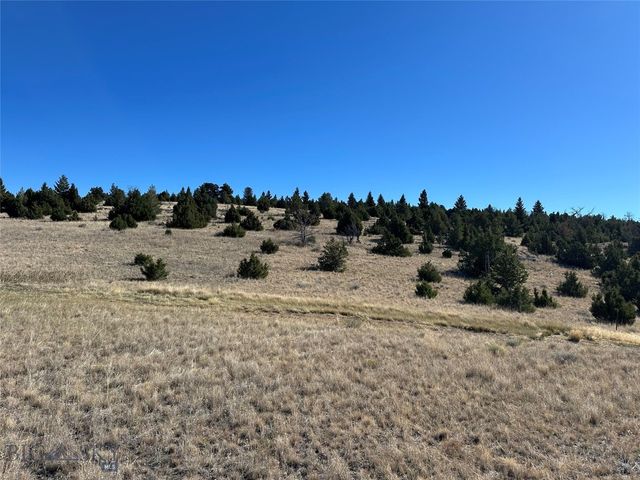 33-to be confirmed Deerfoot, Ennis, MT 59729