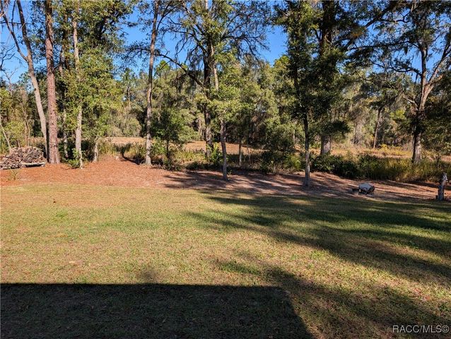 10151 N Athenia Drive, Citrus Springs, FL 34434