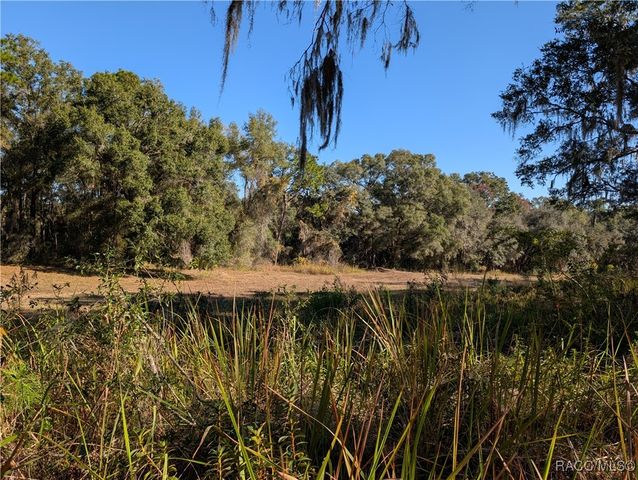 10151 N Athenia Drive, Citrus Springs, FL 34434