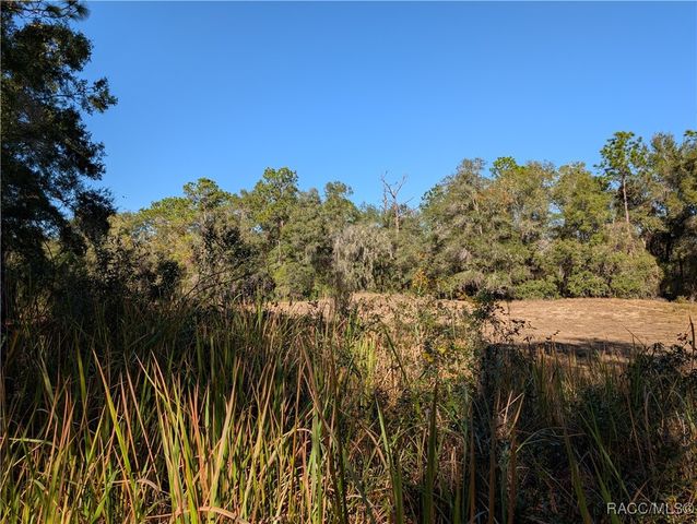 10151 N Athenia Drive, Citrus Springs, FL 34434