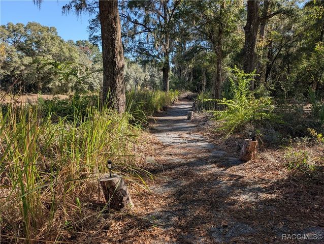 10151 N Athenia Drive, Citrus Springs, FL 34434