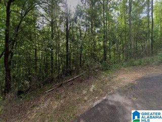 2467 CUNNINGHAM AVENUE, Birmingham, AL 35217