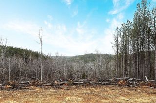 1661 Sassafras Stand Ridge, Linden, TN 37096