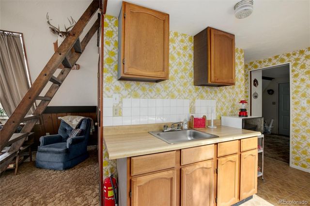 63 Welsh Cob Lane, Como, CO 80432