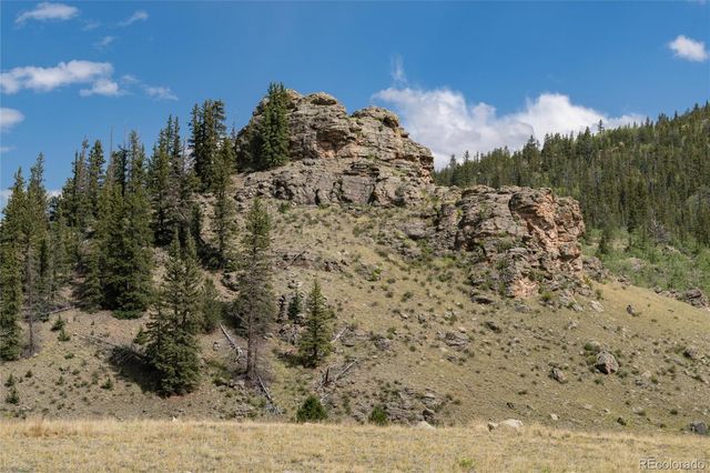 63 Welsh Cob Lane, Como, CO 80432