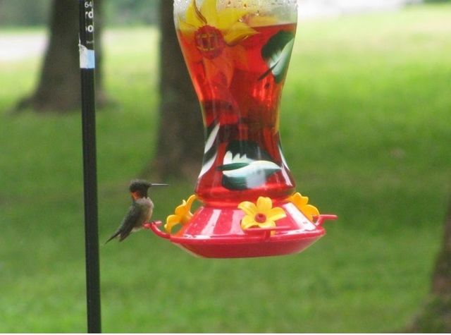 1423 Pack Rd, White Bluff, TN 37187