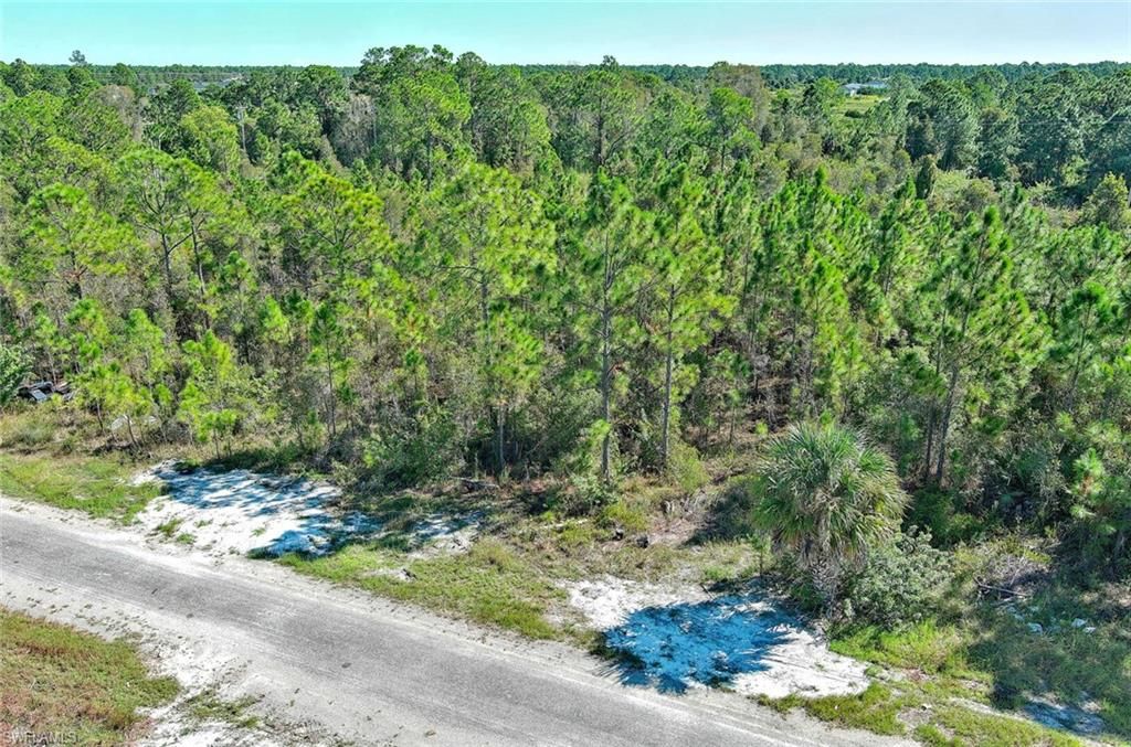 839 Kaley AVE S, LEHIGH ACRES, FL 33974 — photo 2
