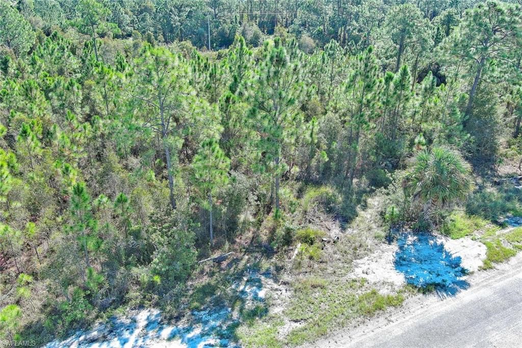 839 Kaley AVE S, LEHIGH ACRES, FL 33974 — photo 4