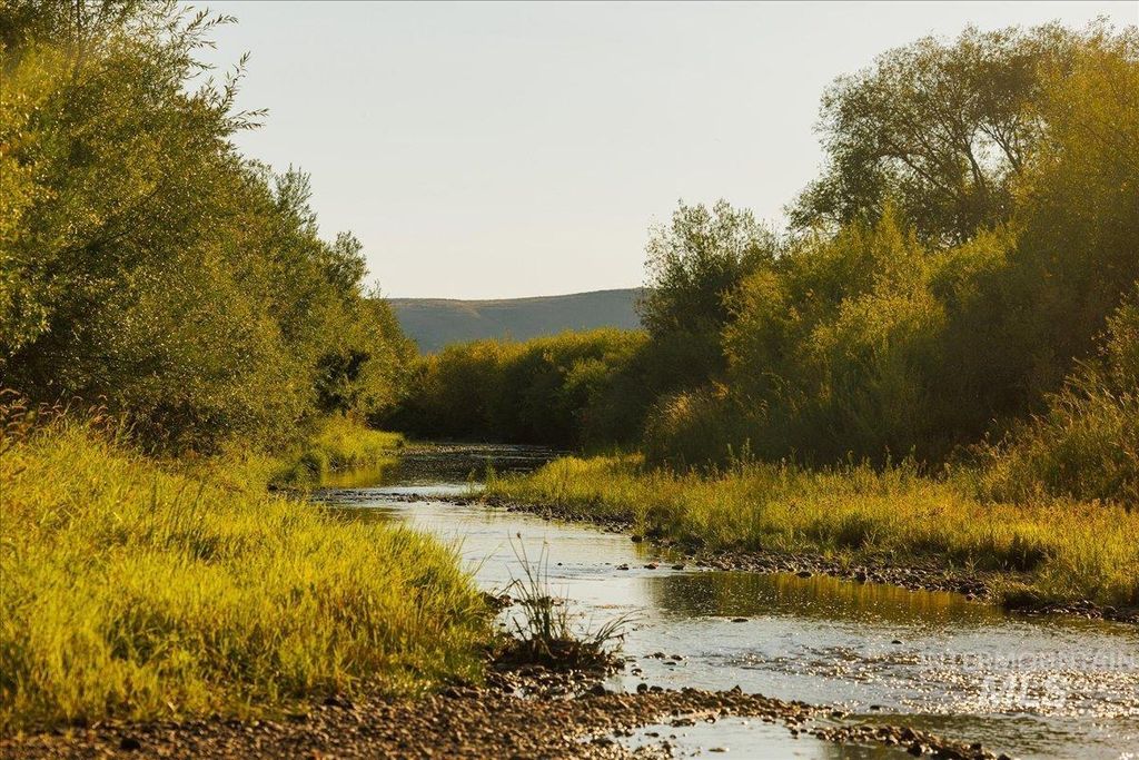 3127 Us Hwy 95, Cambridge, ID 83610 photo 12