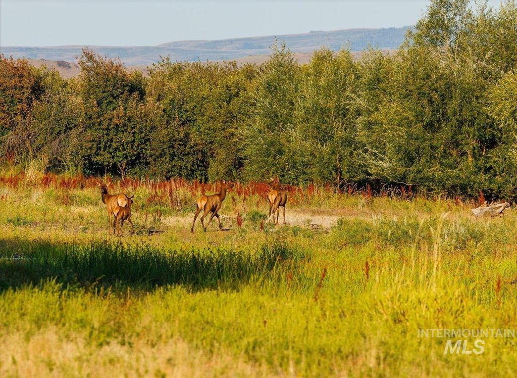 3127 Us Hwy 95, Cambridge, ID 83610 photo 32