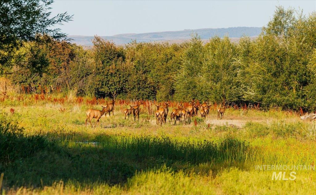 3127 Us Hwy 95, Cambridge, ID 83610 photo 34