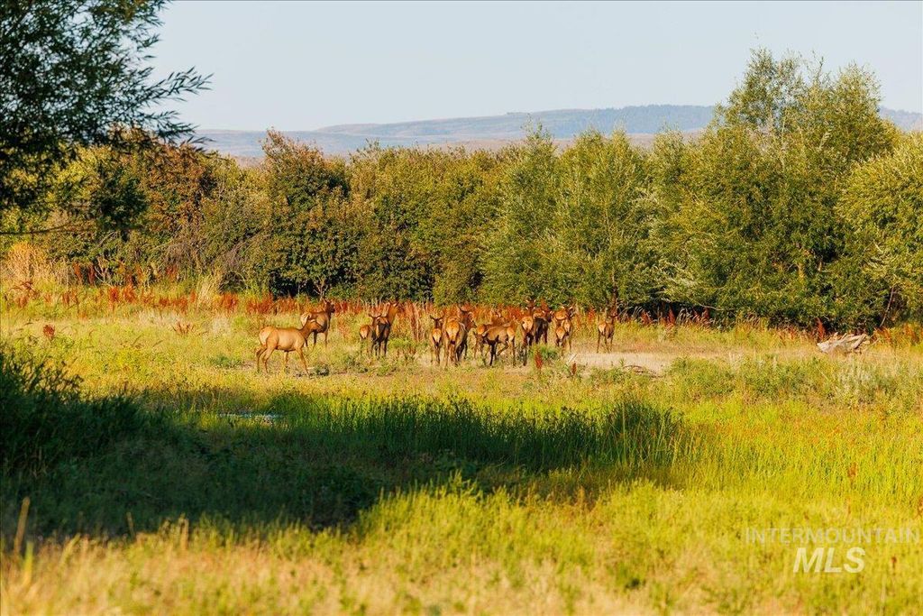 3127 Us Hwy 95, Cambridge, ID 83610 photo 35