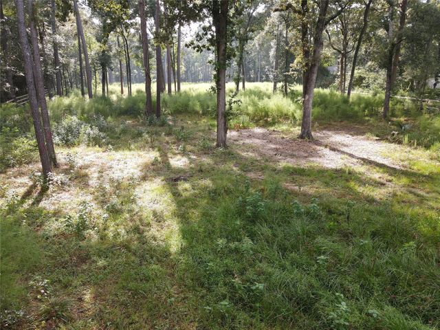 11313 Lake Forest Drive, Conroe, TX 77384