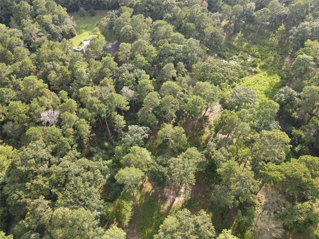 11313 Lake Forest Drive, Conroe, TX 77384
