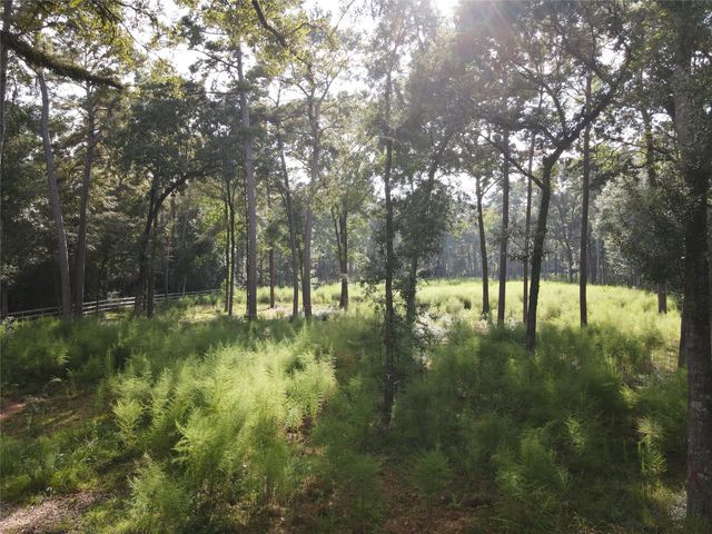 11313 Lake Forest Drive, Conroe, TX 77384