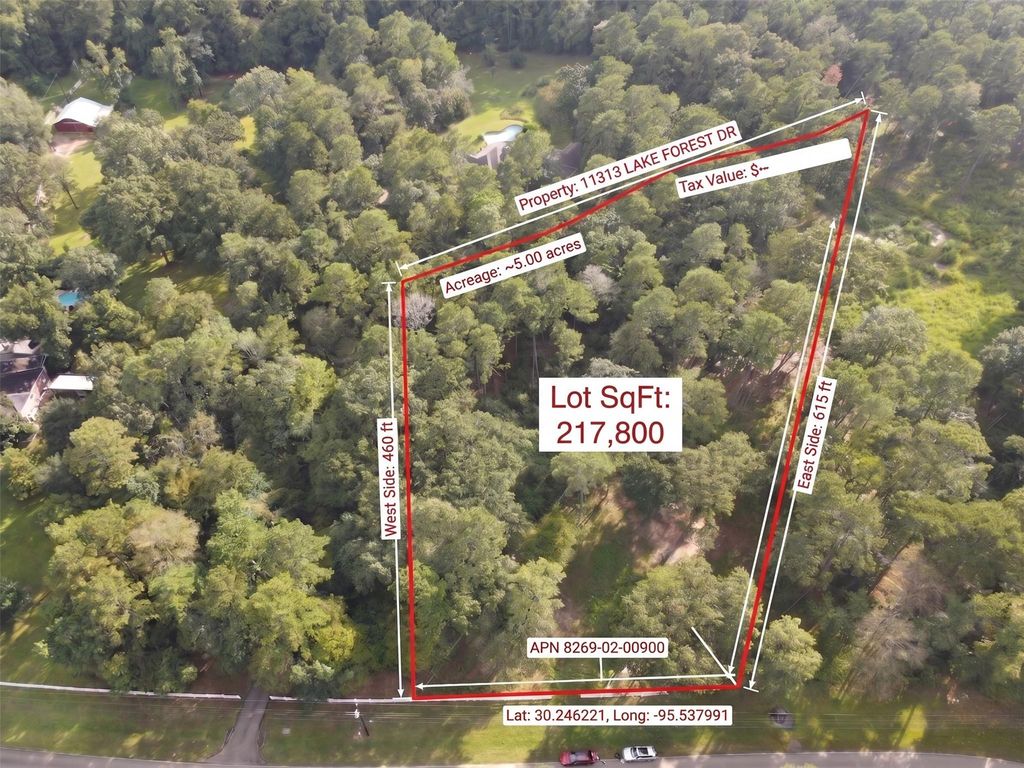 11313 Lake Forest Drive, Conroe, TX 77384