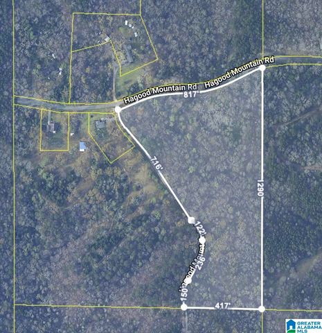 1555 HAGOOD MTN ROAD, Morris, AL 35116
