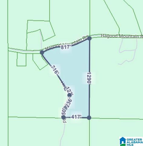 1555 HAGOOD MTN ROAD, Morris, AL 35116