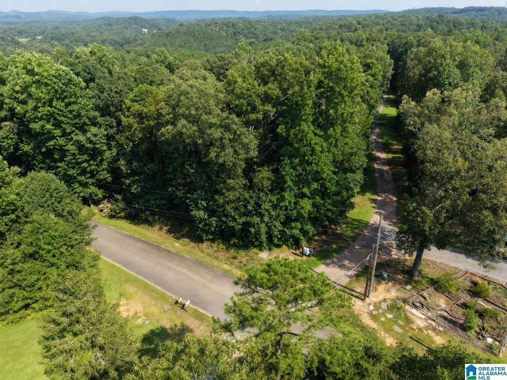 1555 HAGOOD MTN ROAD, Morris, AL 35116