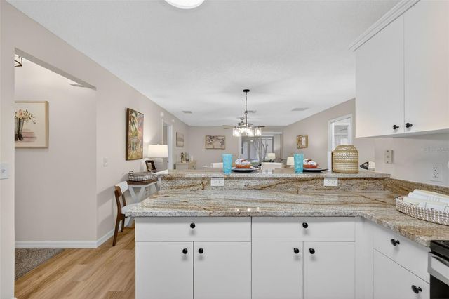 3437 SIPSEY STREET, The Villages, FL 32162