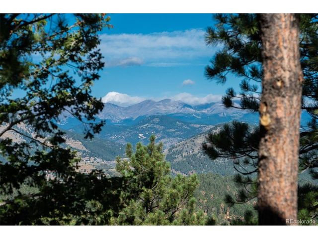 1028 Blue Grass Trl, Evergreen, CO 80439