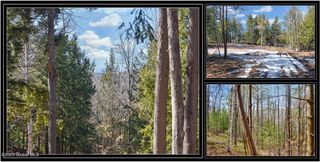 L15 Mountain Meadows Road, Horicon, NY 12860