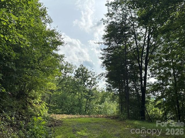 87-3 Eagles Flight None, Bryson City, NC 28713