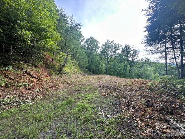 87-3 Eagles Flight None, Bryson City, NC 28713