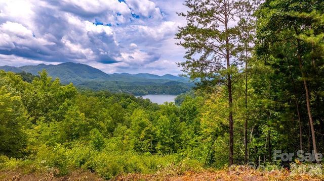 87-3 Eagles Flight None, Bryson City, NC 28713