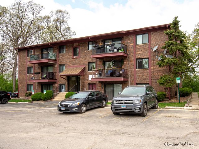 8473 Archer Avenue 204, Willow Springs, IL 60480