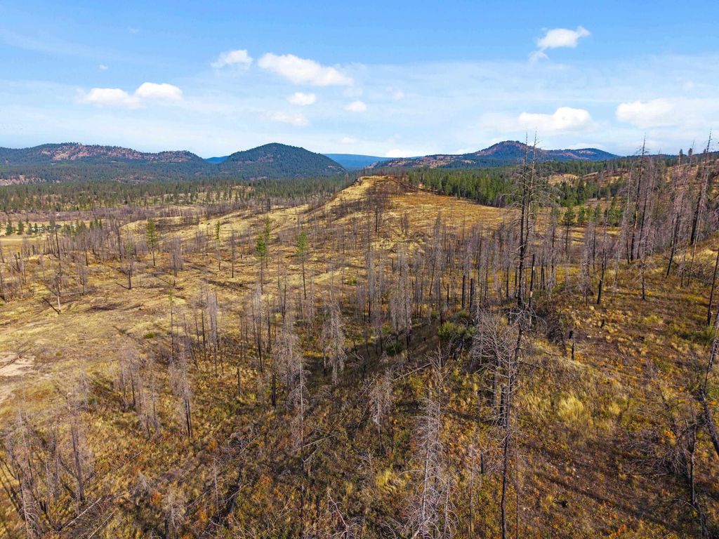 0 E Oregon Rd, Elk, WA 99009 photo 3