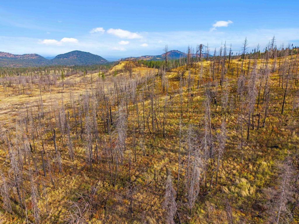 0 E Oregon Rd, Elk, WA 99009 photo 4
